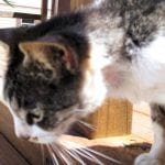 article image - 